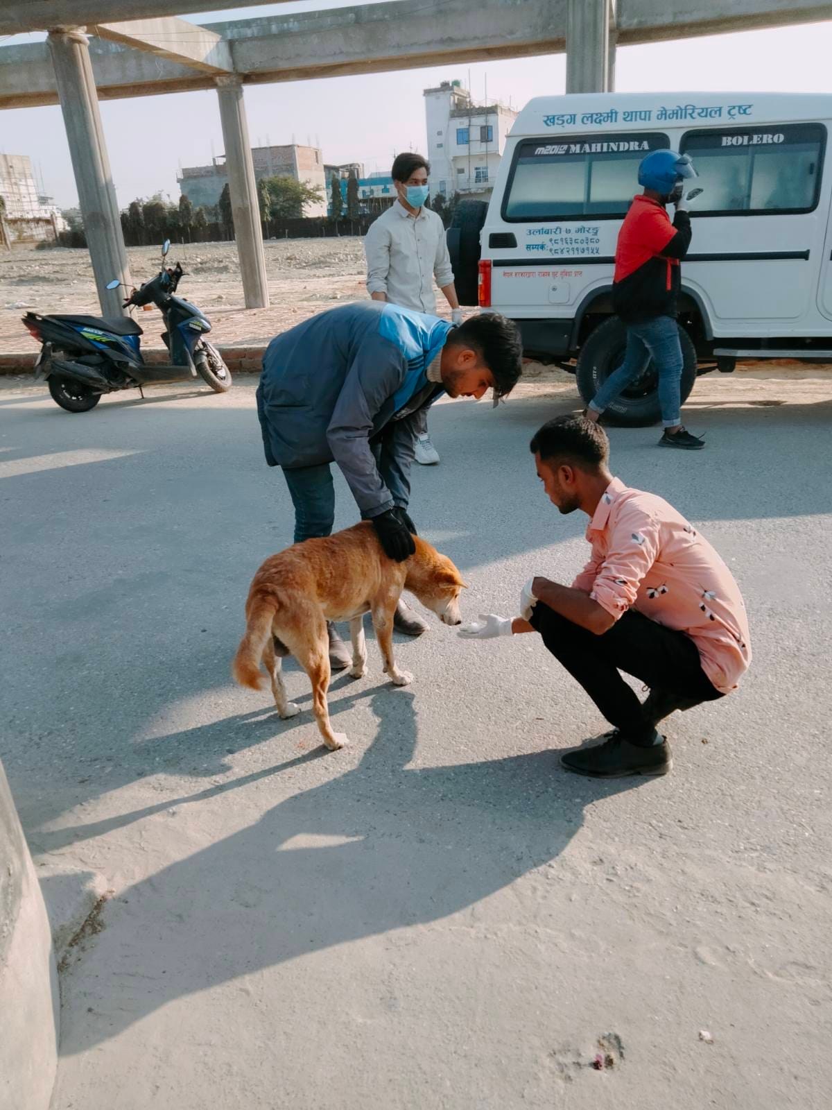 Feeding Camps